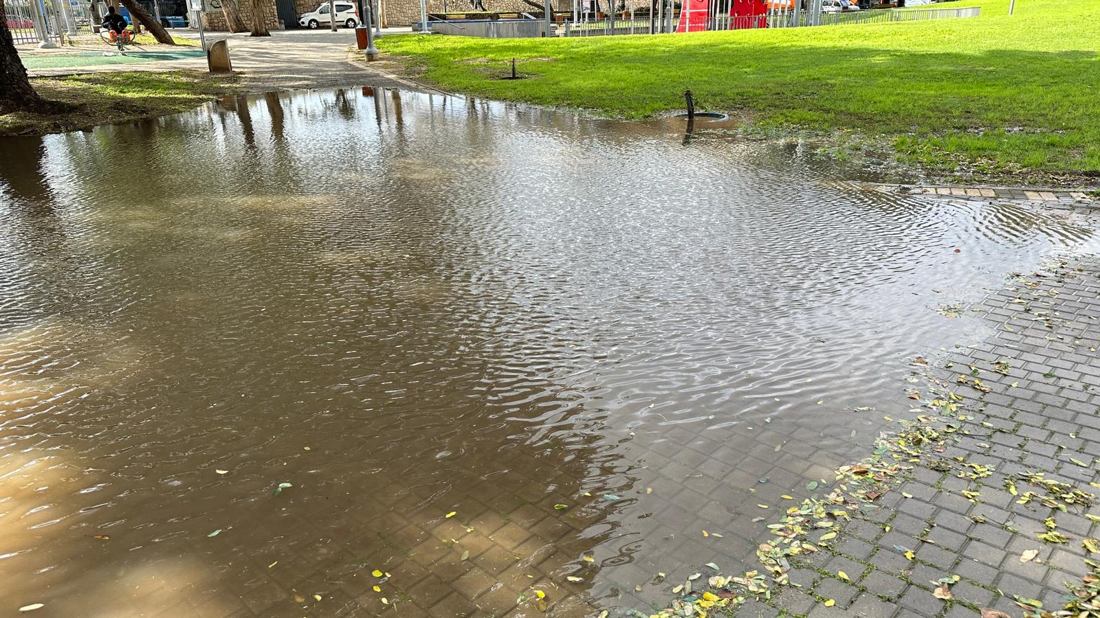 WhatsApp Image 2024-01-30 at 19.11.10.jpeg